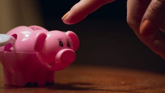 Pay Pig