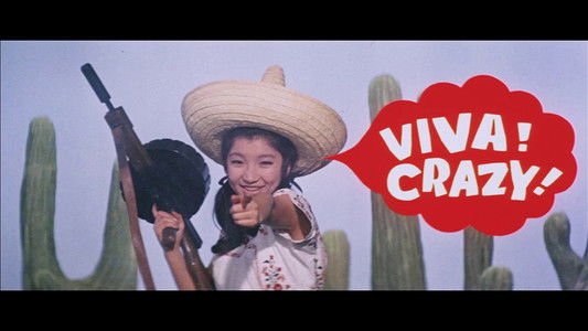 クレージーメキシコ大作戦