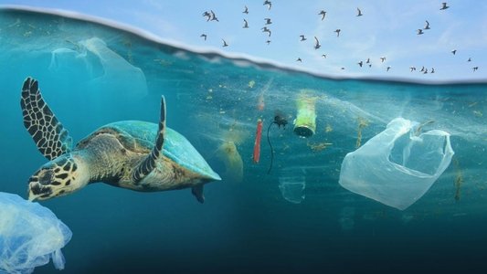 Drowning in Plastic