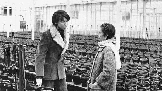Harold and Maude