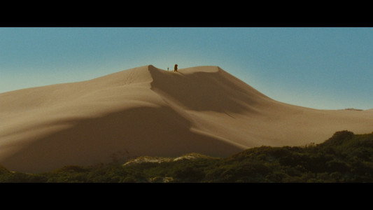 Where the Wild Things Are