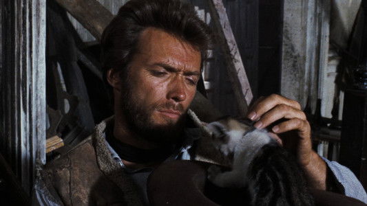 Il buono, il brutto, il cattivo