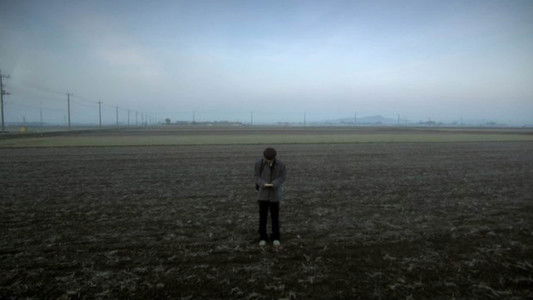 リリイ・シュシュのすべて