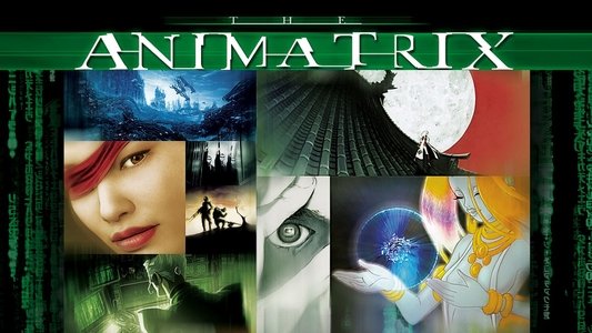 The Animatrix