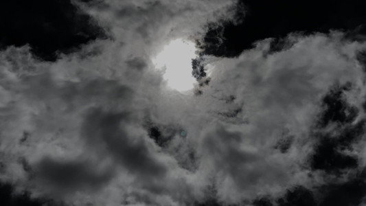 Mortality