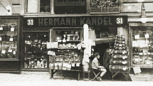 Auf der Suche nach dem Gedächtnis