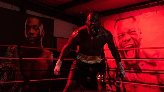 Deontay Wilder vs. Tyrrell Herndon