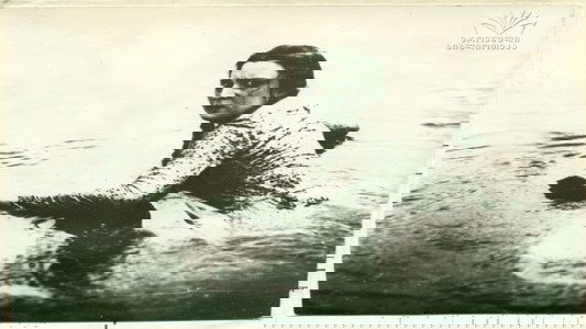დარიკო