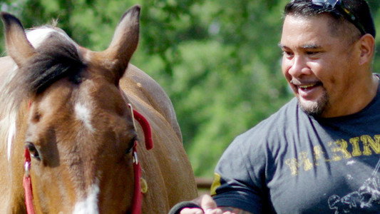 Where the Horses Heal the Soul
