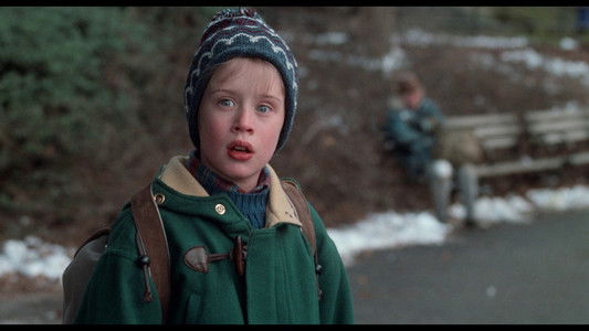 Home Alone 2: Lost in New York