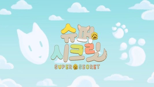 슈퍼 시크릿