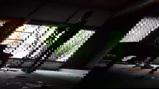 境界カメラ4