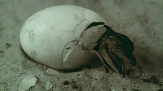 Lucifer Rising