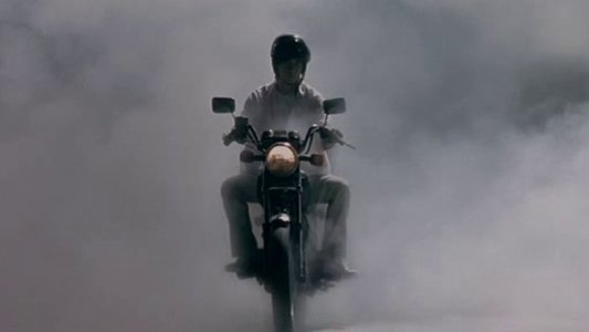 蝴蝶飛