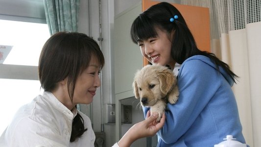 犬と私の10の約束