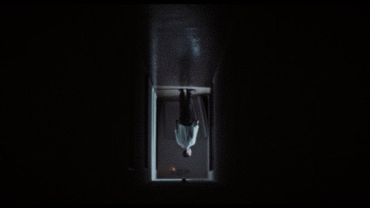 Dracula: The Night Around Us