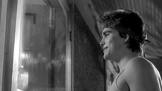 Rumble Fish