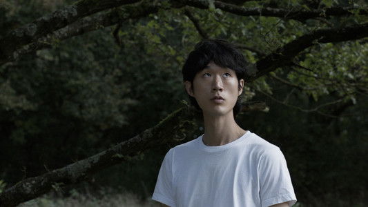 Warum ist nicht schon alles verschwunden