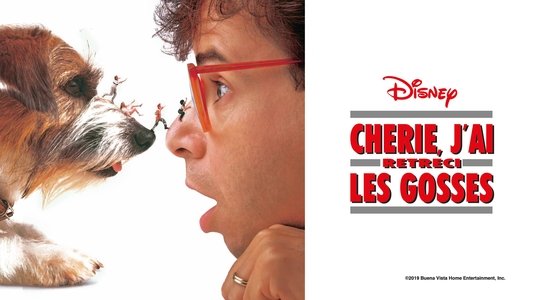 Honey, I Shrunk the Kids