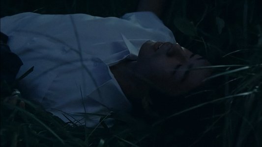月光の囁き