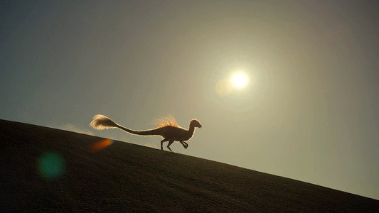 The Dinosaurs