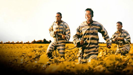 O Brother, Where Art Thou?