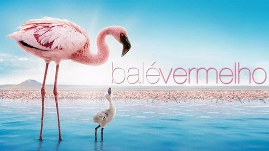 The Crimson Wing: Mystery of the Flamingos