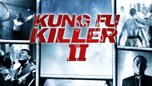 Kung Fu Killer 2
