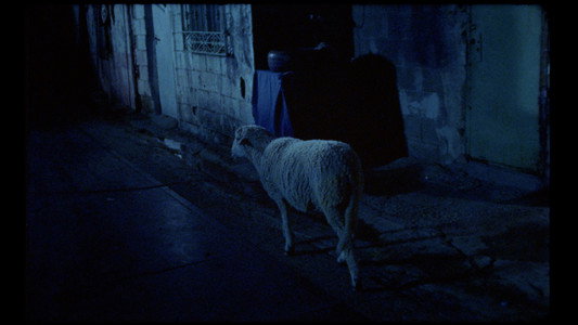 Aunque es de noche