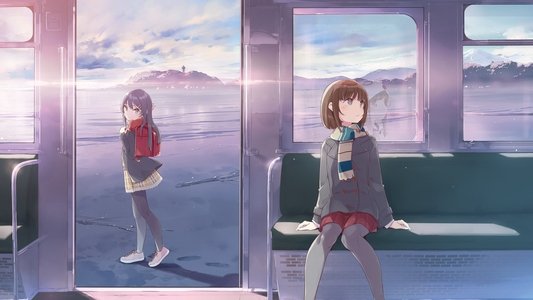 青春ブタ野郎はおでかけシスターの夢を見ない