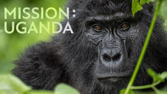 Mission: Uganda