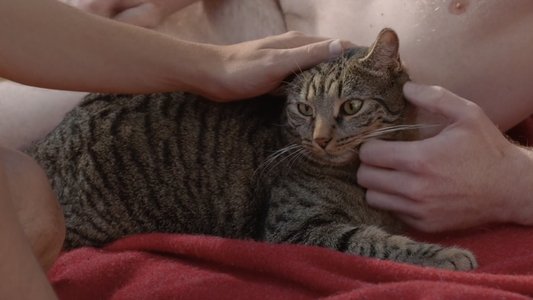Kater