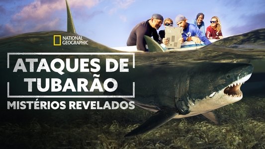 Shark Attack Files
