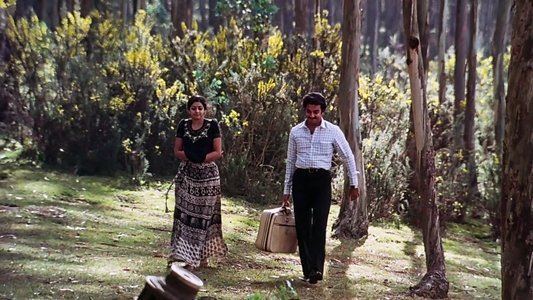 மூன்றாம் பிறை