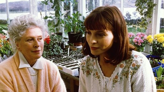 Rosamunde Pilcher: Wechselspiel der Liebe
