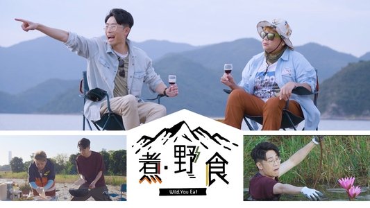 食平D