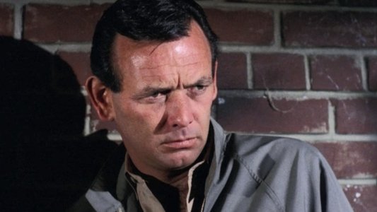 The Fugitive