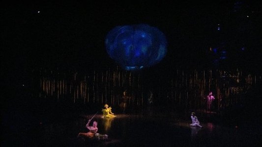Cirque du Soleil: Varekai