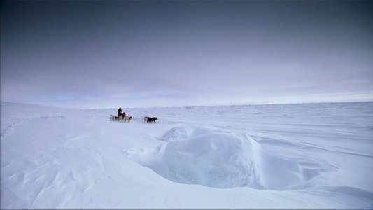 Top Gear: Polar Special