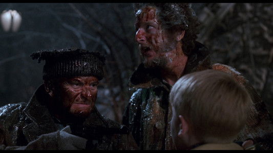 Home Alone 2: Lost in New York