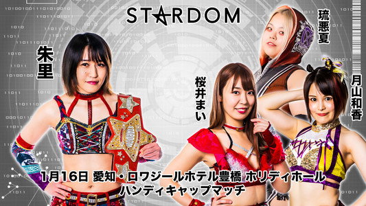スターダム豊橋大会