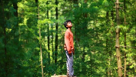 Sound of Silence