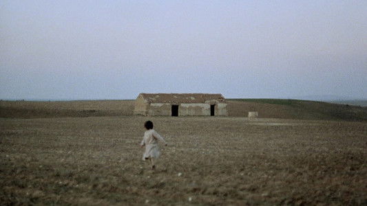 El espíritu de la colmena