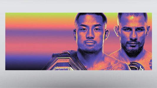 UFC 331: Van vs. Pantoja 2