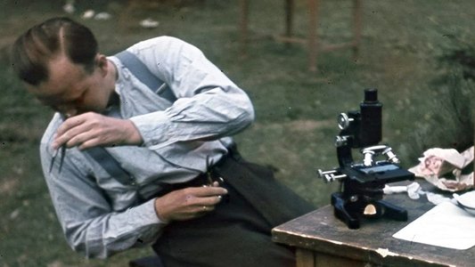 Les junkies d'Adolf Hitler