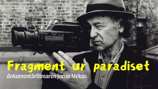 Fragments of Paradise