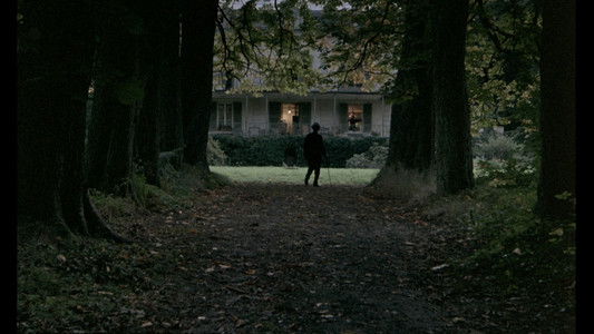 Un dimanche à la campagne