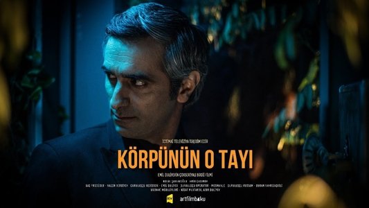 Körpünün O Tayı