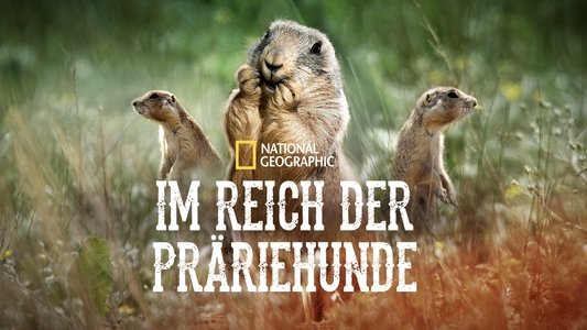 Prairie Dog Manor