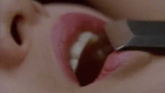 XX 美しき標的